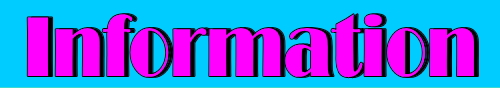 WEB���p